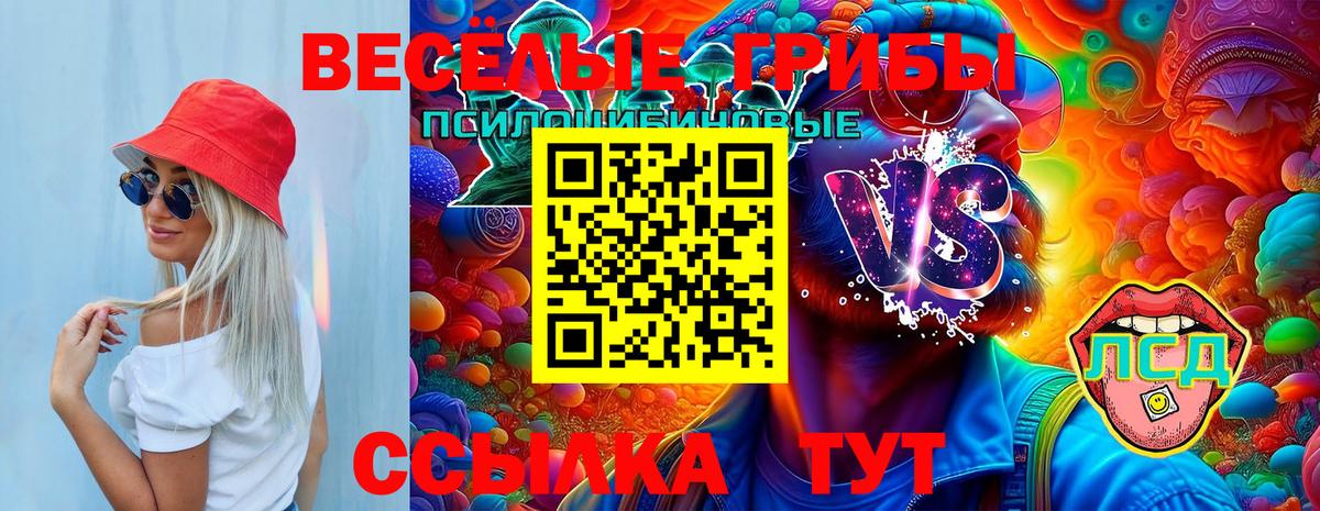 Галлюциногенные грибы GOLDEN TEACHER  Вход с VPN  Чапаевск  Псилоцибиновые грибы MAGIC MUSHROOMS 